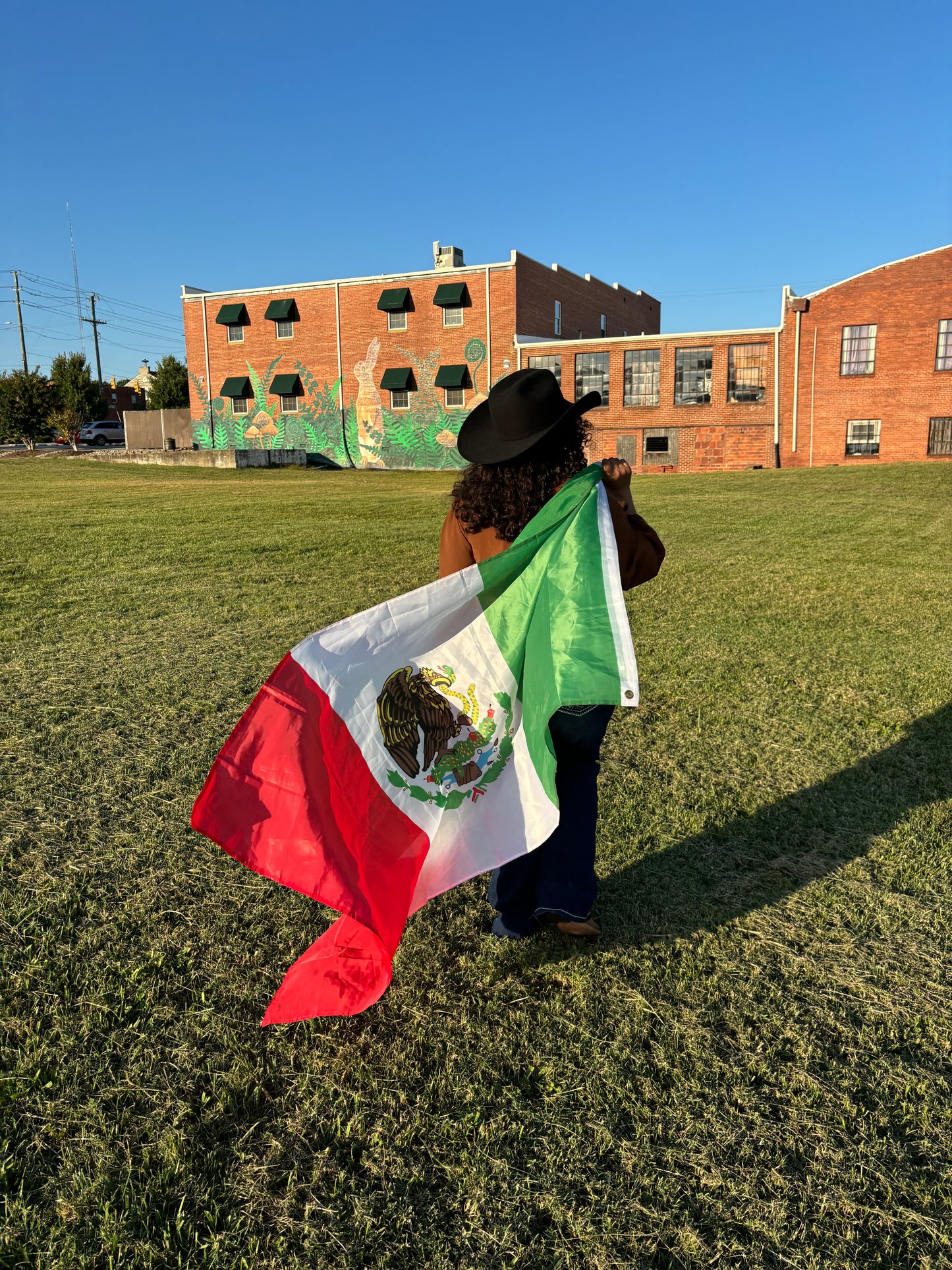 Mexico Flag